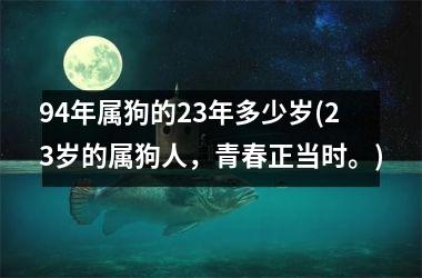 94年属狗的23年多少岁(23岁的属狗人，青春正当时。)