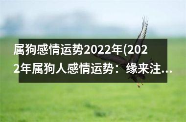 <h3>属狗感情运势2025年(2025年属狗人感情运势：缘来注定，爱情暗示。)
