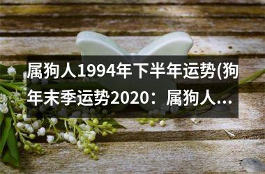 属狗人1994年下半年运势(狗年末季运势2025：属狗人运势大盘点)
