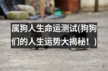 <h3>属狗人生命运测试(狗狗们的人生运势大揭秘！)