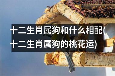 <h3>十二生肖属狗和什么相配(十二生肖属狗的桃花运)