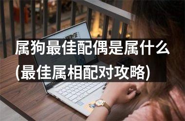 <h3>属狗佳配偶是属什么(佳属相配对攻略)