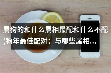 <h3>属狗的和什么属相配和什么不配(狗年佳配对：与哪些属相搭配佳？)