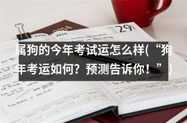<h3>属狗的今年考试运怎么样(“狗年考运如何？预测告诉你！”)