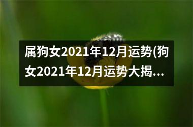 属狗女2025年12月运势(狗女2025年12月运势大揭秘)