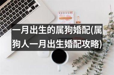 <h3>一月出生的属狗婚配(属狗人一月出生婚配攻略)