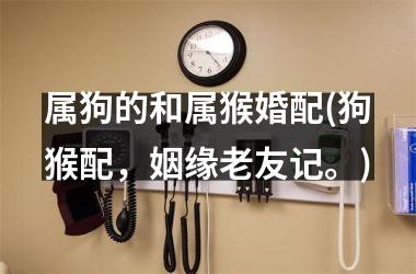 <h3>属狗的和属猴婚配(狗猴配，姻缘老友记。)