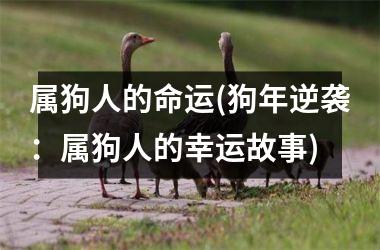 <h3>属狗人的命运(狗年逆袭：属狗人的幸运故事)