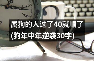 属狗的人过了40就顺了(狗年中年逆袭30字)