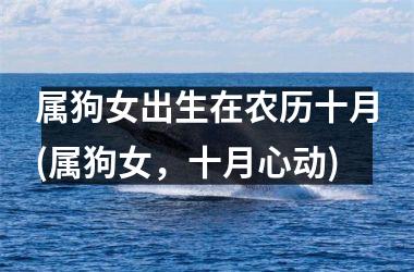 <h3>属狗女出生在农历十月(属狗女，十月心动)