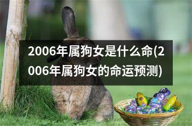 <h3>2006年属狗女是什么命(2006年属狗女的命运预测)