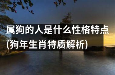 属狗的人是什么性格特点(狗年生肖特质解析)