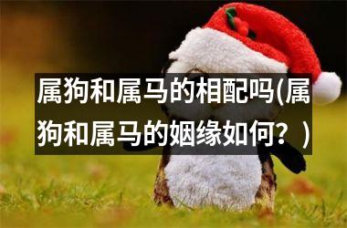<h3>属狗和属马的相配吗(属狗和属马的姻缘如何？)