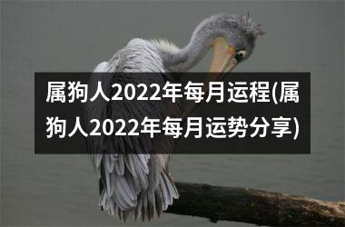 <h3>属狗人2025年每月运程(属狗人2025年每月运势分享)