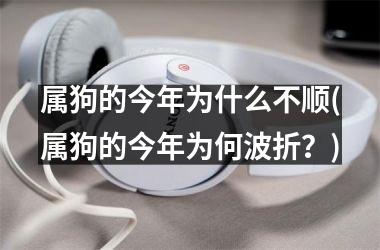 属狗的今年为什么不顺(属狗的今年为何波折？)