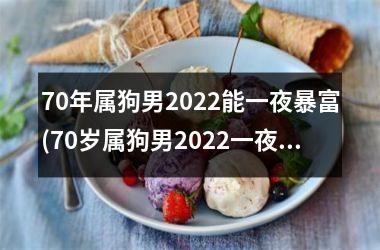 <h3>70年属狗男2025能一夜暴富(70岁属狗男2025一夜暴富中发掘财富密码)
