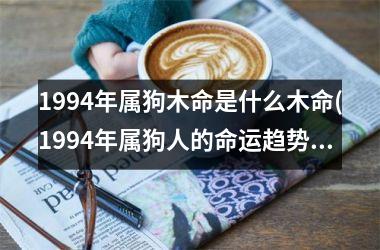 1994年属狗木命是什么木命(1994年属狗人的命运趋势与木命相关)