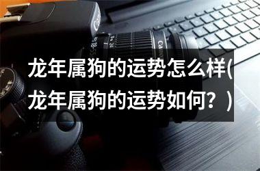 <h3>龙年属狗的运势怎么样(龙年属狗的运势如何？)
