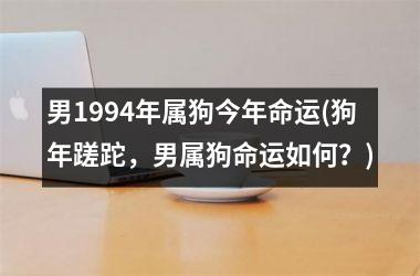 <h3>男1994年属狗今年命运(狗年蹉跎，男属狗命运如何？)