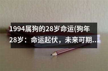 1994属狗的28岁命运(狗年28岁：命运起伏，未来可期)