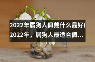 2025年属狗人佩戴什么好(2025年，属狗人适合佩戴什么？找到佳选择！)