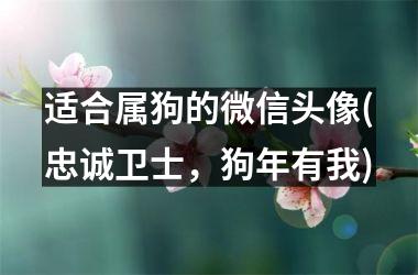 适合属狗的微信头像(忠诚卫士，狗年有我)