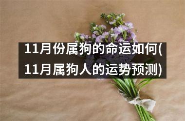 11月份属狗的命运如何(11月属狗人的运势预测)