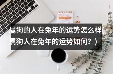 <h3>属狗的人在兔年的运势怎么样(属狗人在兔年的运势如何？)