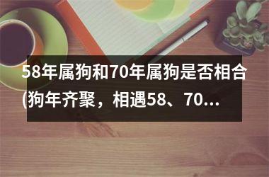 <h3>58年属狗和70年属狗是否相合(狗年齐聚，相遇58、70，相会何其难)