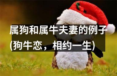 <h3>属狗和属牛夫妻的例子(狗牛恋，相约一生)