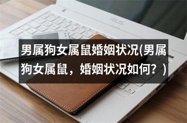 <h3>男属狗女属鼠婚姻状况(男属狗女属鼠，婚姻状况如何？)