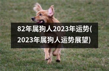 <h3>82年属狗人2025年运势(2025年属狗人运势展望)