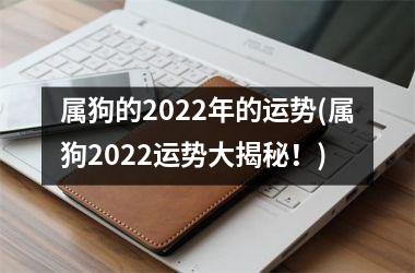 <h3>属狗的2025年的运势(属狗2025运势大揭秘！)
