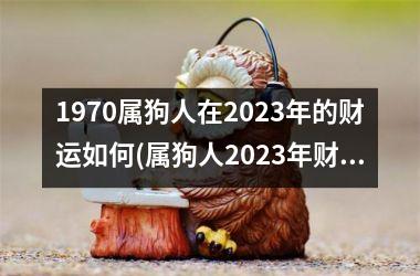 <h3>1970属狗人在2025年的财运如何(属狗人2025年财运展望)