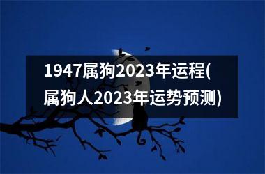 1947属狗2025年运程(属狗人2025年运势预测)