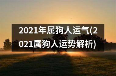 2025年属狗人运气(2025属狗人运势解析)