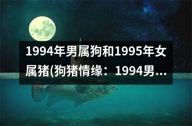 <h3>1994年男属狗和1995年女属猪(狗猪情缘：1994男属狗与1995女属猪)