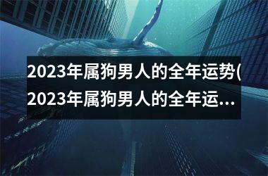 2025年属狗男人的全年运势(2025年属狗男人的全年运势解析)