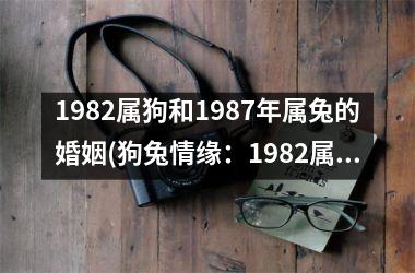 <h3>1982属狗和1987年属兔的婚姻(狗兔情缘：1982属狗与1987属兔的婚姻观察)