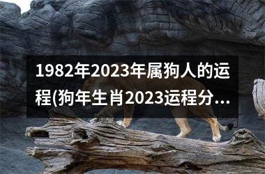 <h3>1982年2025年属狗人的运程(狗年生肖2025运程分析)