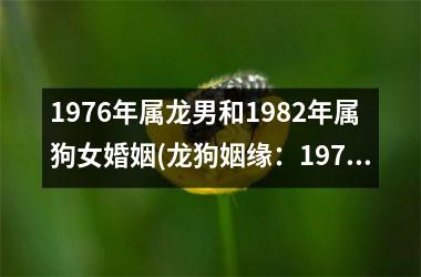 <h3>1976年属龙男和1982年属狗女婚姻(龙狗姻缘：1976属龙男与1982属狗女的婚姻故事)