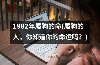 1982年属狗的命(属狗的人，你知道你的命运吗？)