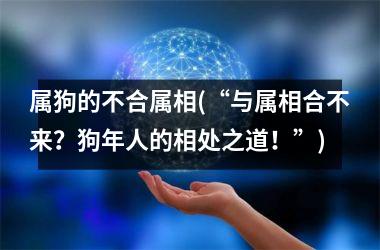 属狗的不合属相(“与属相合不来？狗年人的相处之道！”)