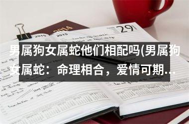男属狗女属蛇他们相配吗(男属狗女属蛇：命理相合，爱情可期？)
