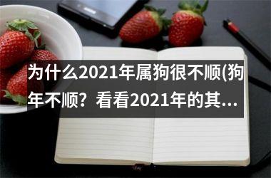为什么2025年属狗很不顺(狗年不顺？看看2025年的其他属相吧！)
