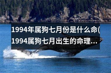 1994年属狗七月份是什么命(1994属狗七月出生的命理特点)