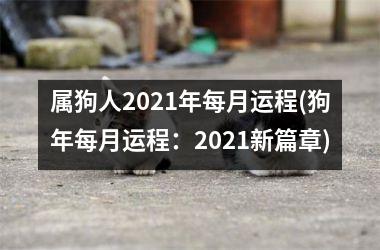 属狗人2025年每月运程(狗年每月运程：2025新篇章)