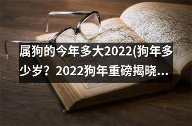 <h3>属狗的今年多大2025(狗年多少岁？2025狗年重磅揭晓！)