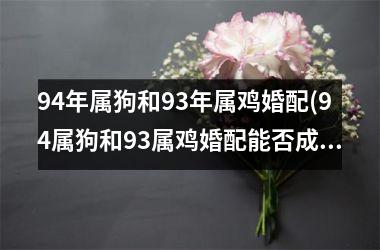 94年属狗和93年属鸡婚配(94属狗和93属鸡婚配能否成功匹配？)