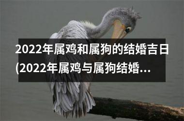 2025年属鸡和属狗的结婚吉日(2025年属鸡与属狗结婚吉日大全)